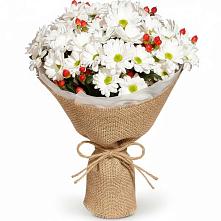 Букет цветов из:  Хризантемы #REPLACE_PRED# Коробчеево
